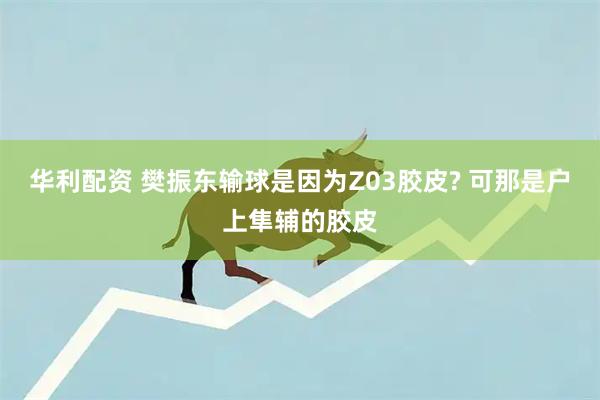 华利配资 樊振东输球是因为Z03胶皮? 可那是户上隼辅的胶皮